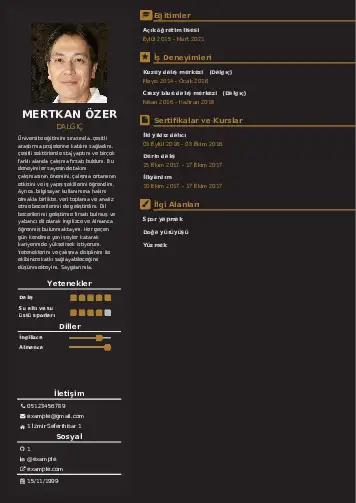 Dalgıç CV Örnekleri cv indir